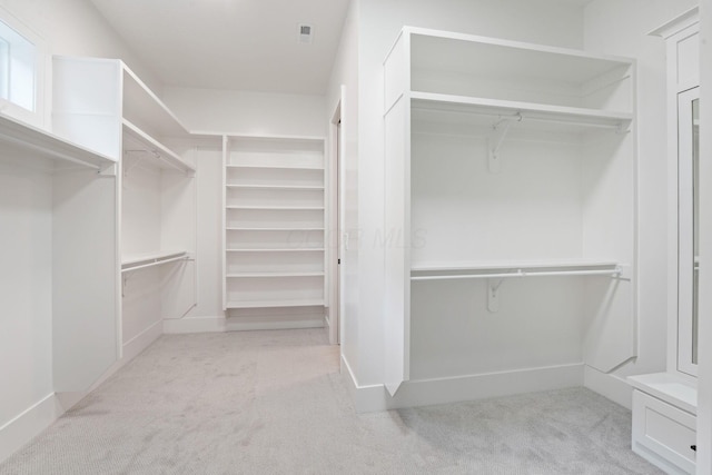 spacious closet featuring light carpet