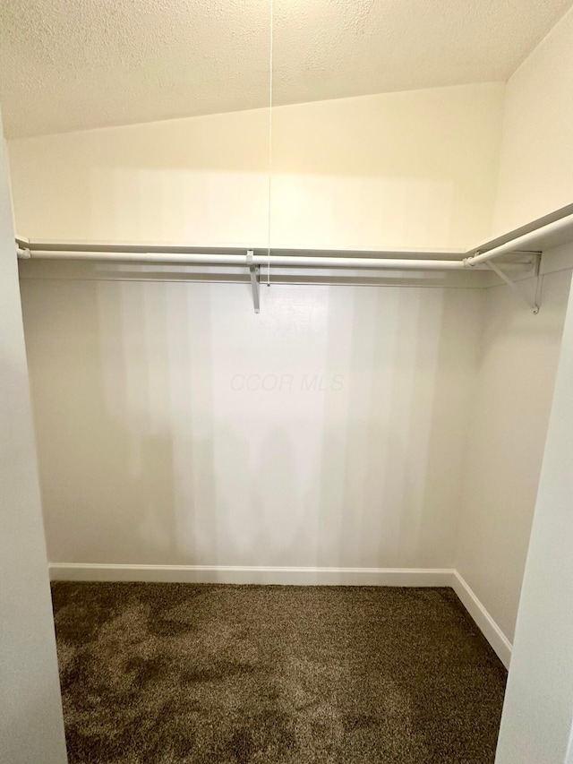 spacious closet with carpet