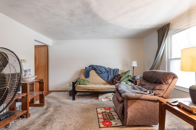 living area featuring carpet