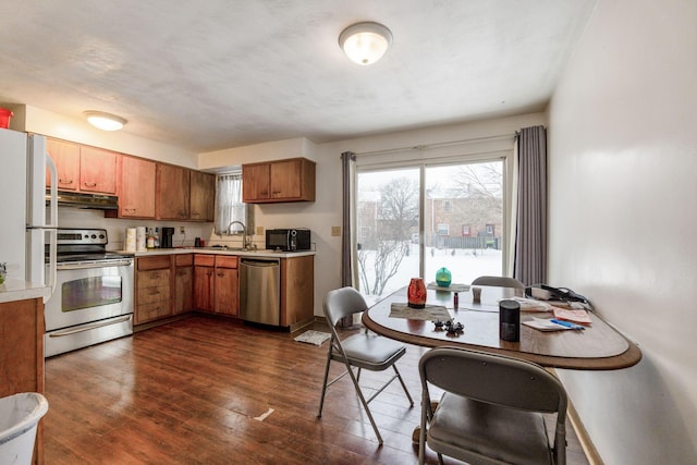 kitchen with stainless steel appliances, dark hardwood / wood-style floors, and sink