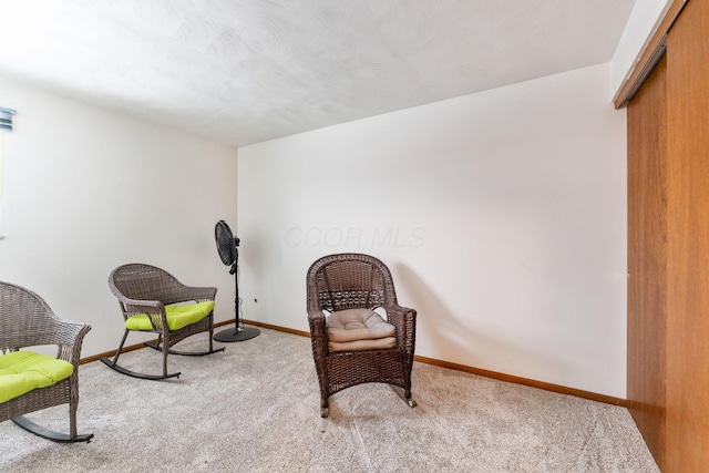 living area with light colored carpet