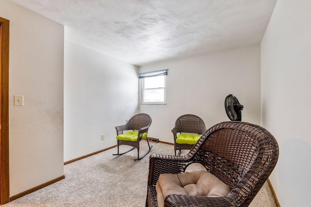 sitting room with carpet flooring