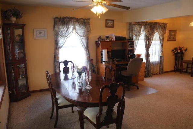 carpeted dining room with ceiling fan