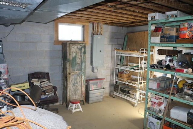 storage area featuring electric panel