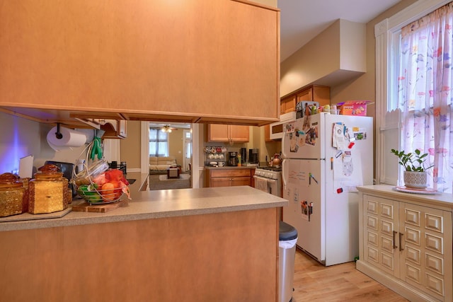 kitchen featuring ceiling fan, light hardwood / wood-style flooring, white appliances, and kitchen peninsula