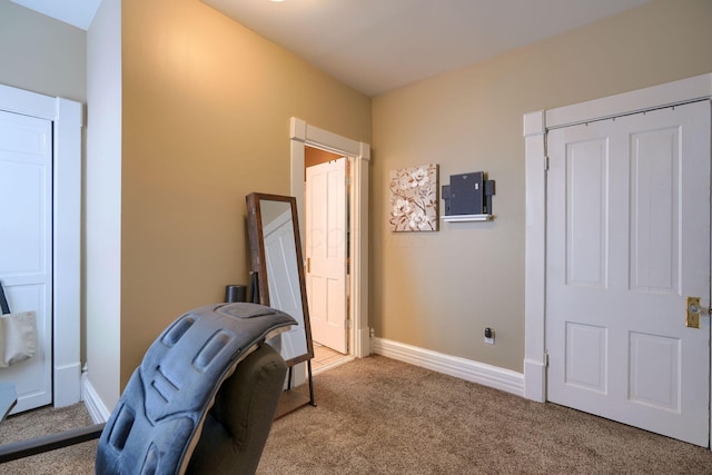 interior space with light colored carpet