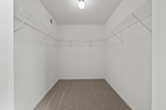 walk in closet with carpet floors