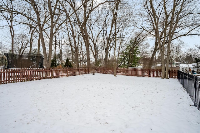 view of yard covered in snow