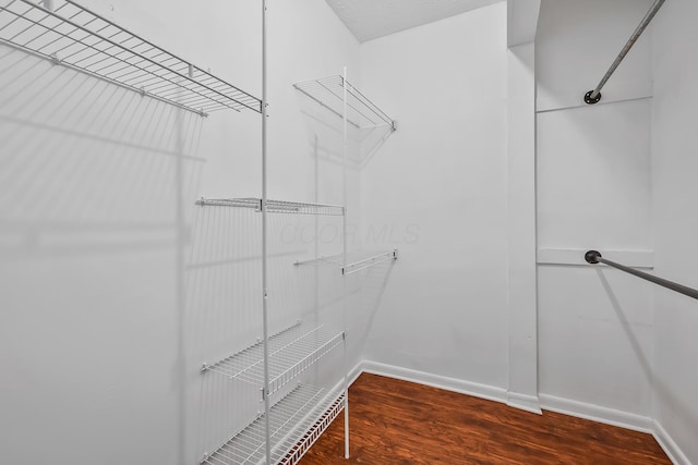 walk in closet featuring dark hardwood / wood-style flooring