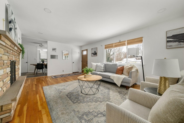 living room featuring wood-type flooring and a fireplace