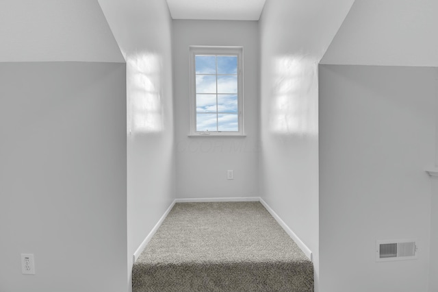 bonus room with carpet floors