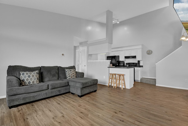 living room featuring a high ceiling and light wood-type flooring