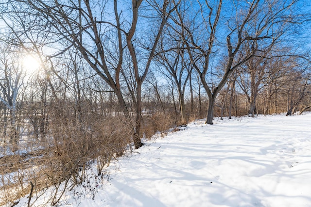 view of yard layered in snow