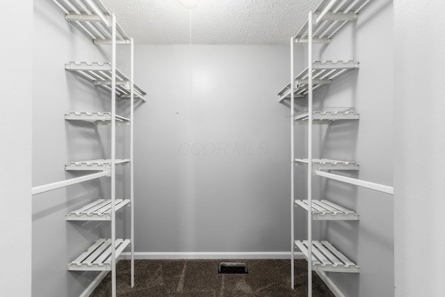 spacious closet with carpet floors