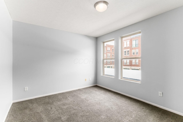 unfurnished room featuring carpet