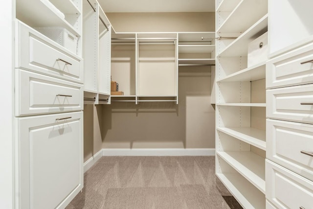 spacious closet with light carpet