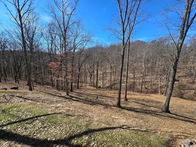 view of local wilderness featuring a view of trees