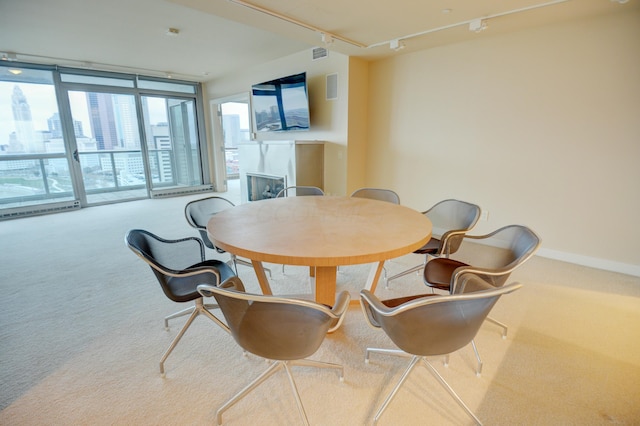 carpeted dining room with expansive windows and rail lighting