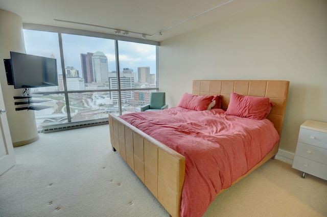 carpeted bedroom featuring multiple windows, rail lighting, and floor to ceiling windows