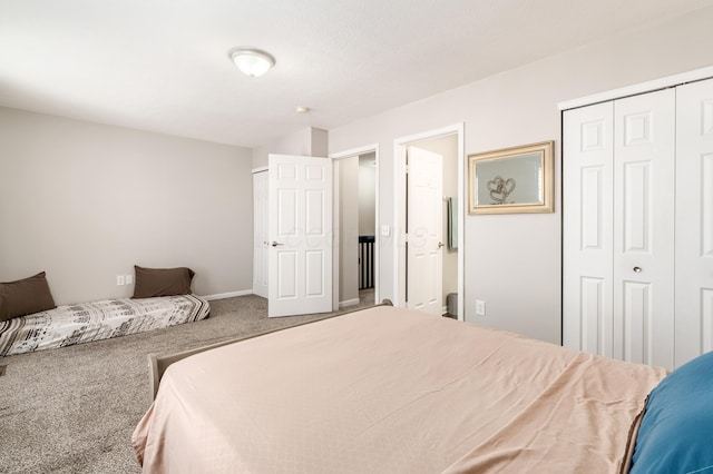 bedroom featuring carpet floors