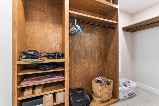 walk in closet with light carpet