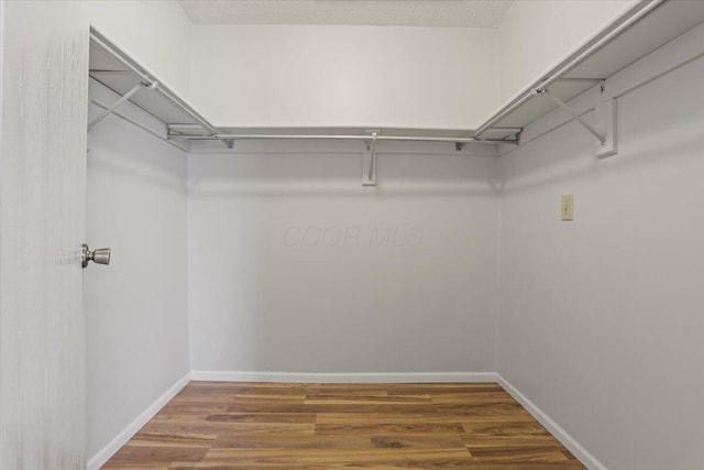 spacious closet featuring hardwood / wood-style floors