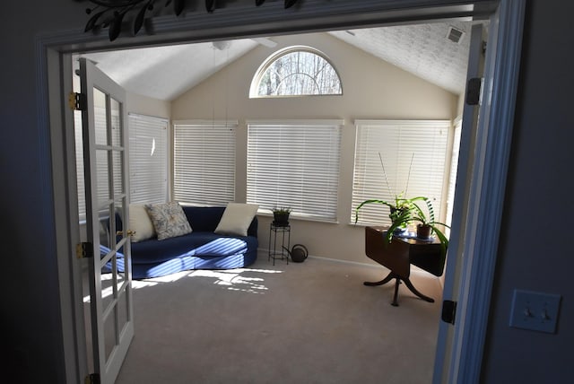 interior space with lofted ceiling