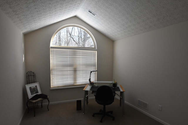 office space featuring a textured ceiling, carpet flooring, and lofted ceiling