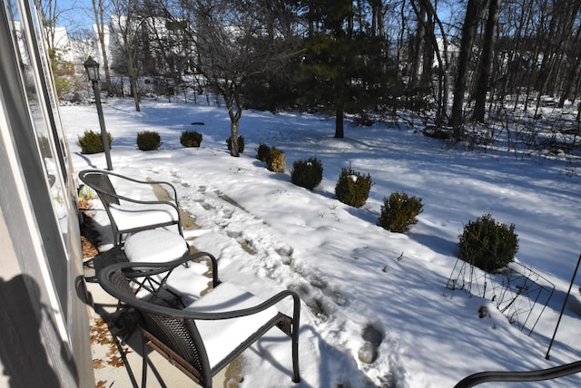 view of snowy yard