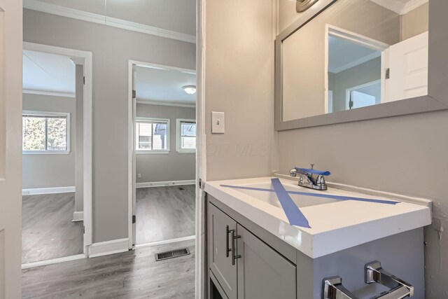 2573 Howey Rd, Columbus, OH 43211 - bathroom with vanity, crown molding, and wood-type flooring