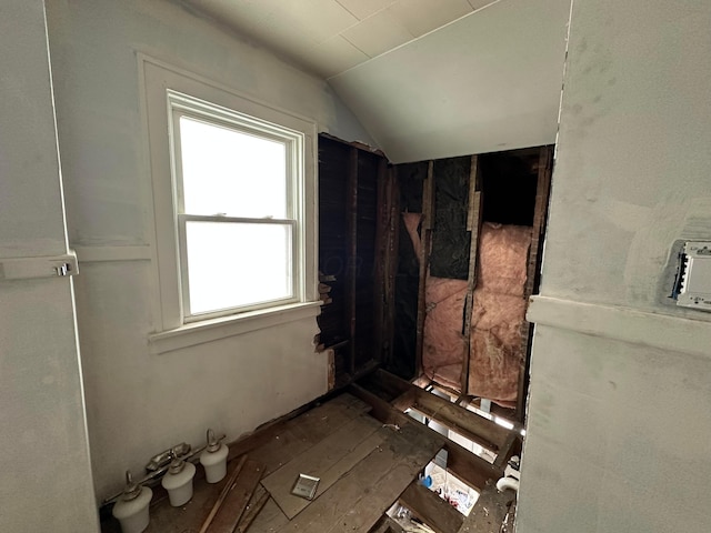 bathroom with lofted ceiling and a healthy amount of sunlight