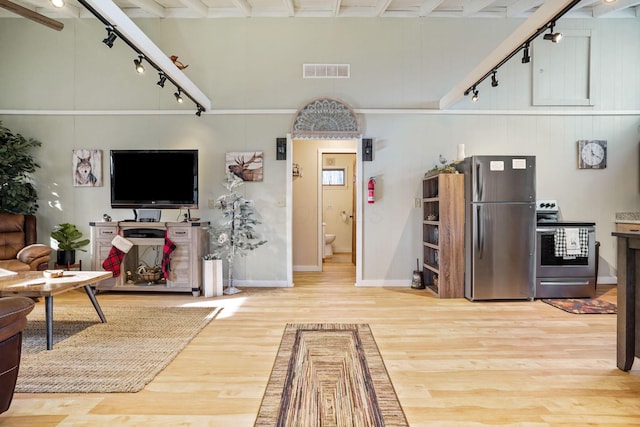 living room with light wood-type flooring and track lighting