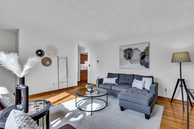 living room featuring hardwood / wood-style floors