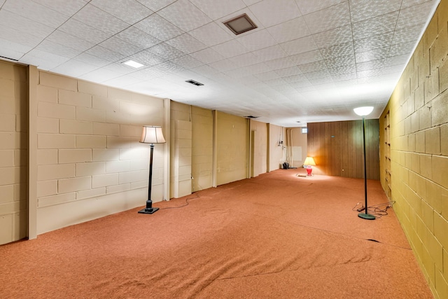 basement with carpet