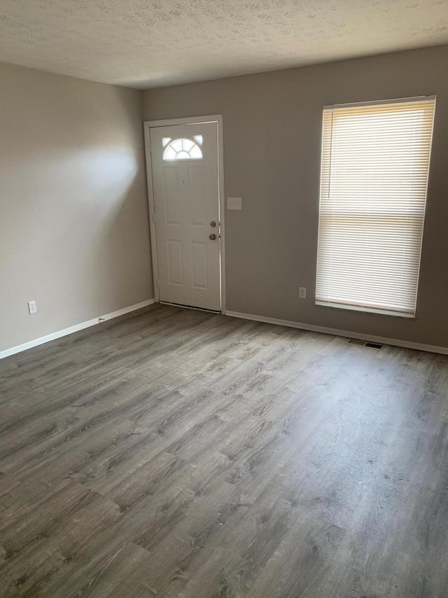 foyer entrance featuring hardwood / wood-style floors, a textured ceiling, and a wealth of natural light