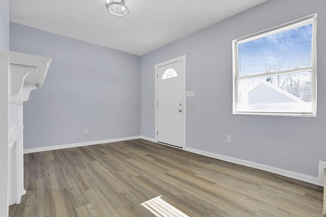 entrance foyer with wood-type flooring