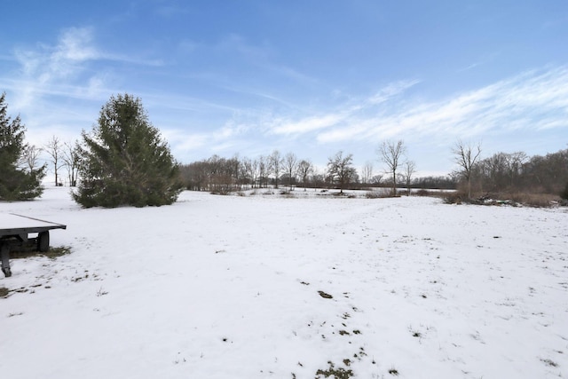 view of yard covered in snow