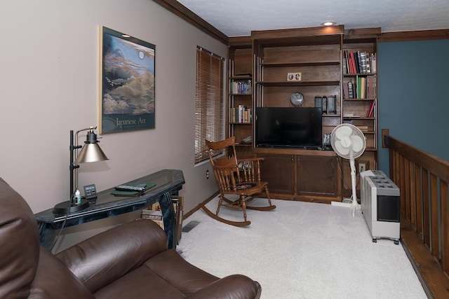 carpeted office space featuring ornamental molding