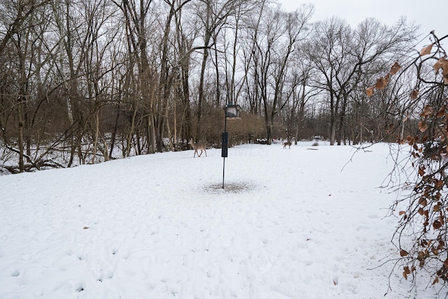 view of yard covered in snow