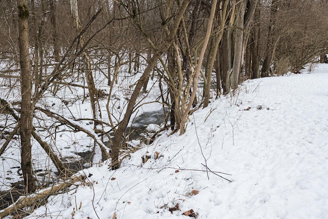 view of snowy landscape