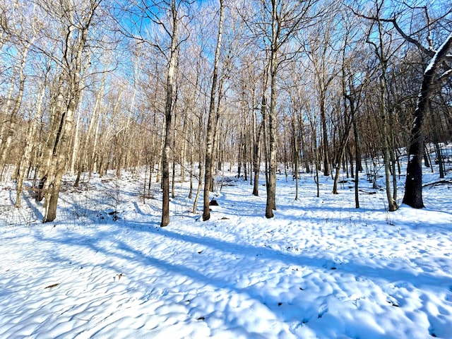 view of yard layered in snow