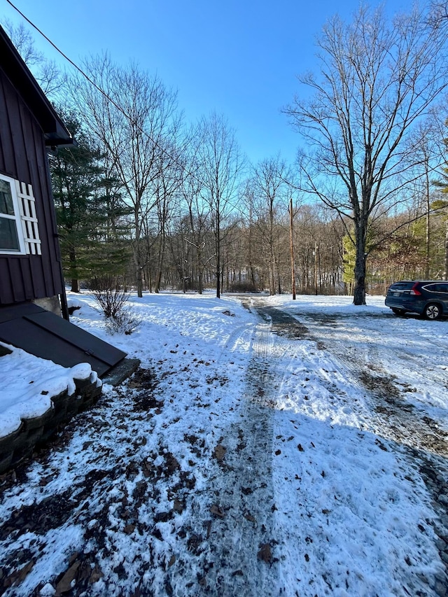 view of yard covered in snow