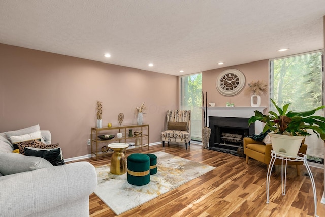 living room with hardwood / wood-style flooring, floor to ceiling windows, a textured ceiling, and a wealth of natural light