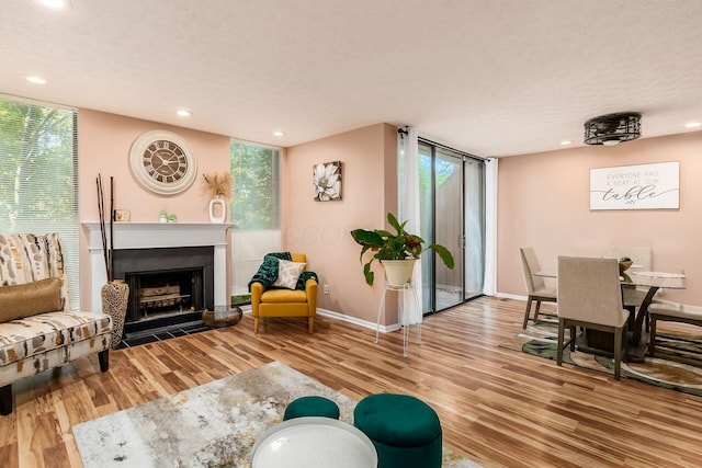 living area with a wall of windows and a wealth of natural light