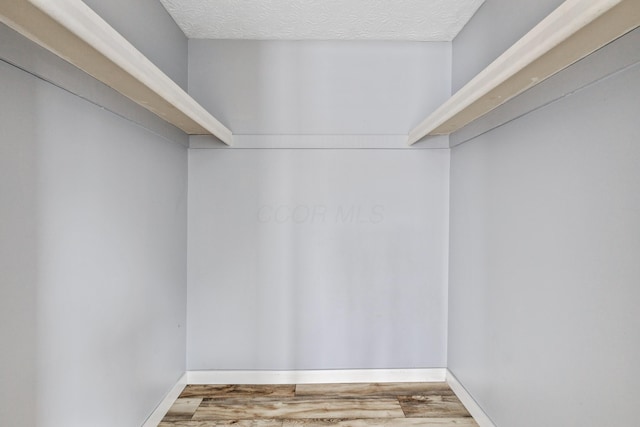 walk in closet with wood-type flooring