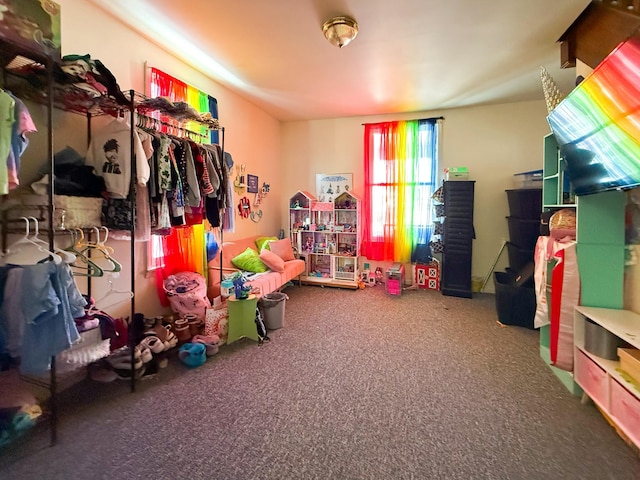 recreation room featuring carpet floors