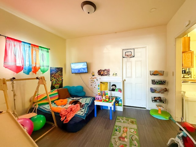 playroom featuring dark hardwood / wood-style floors