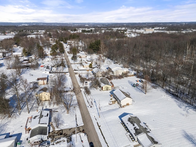 view of snowy aerial view