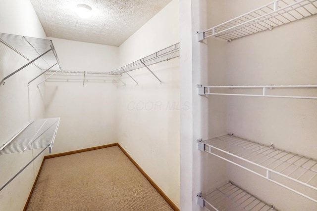 spacious closet featuring carpet floors