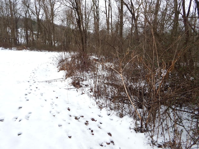 view of snowy landscape